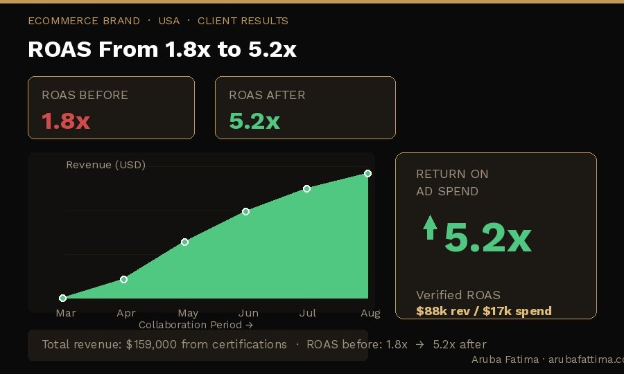 USA E-commerce ROAS Growth documented performance dashboard